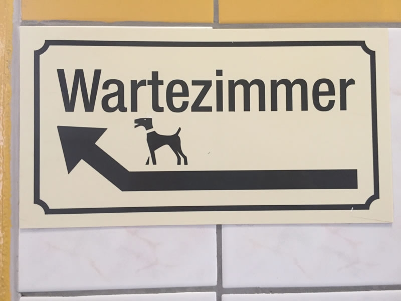 Tierarzt Dr. Ulrike Häusler-Naumburger - Ihre Tierärztin für Pferde und Kleintiere 