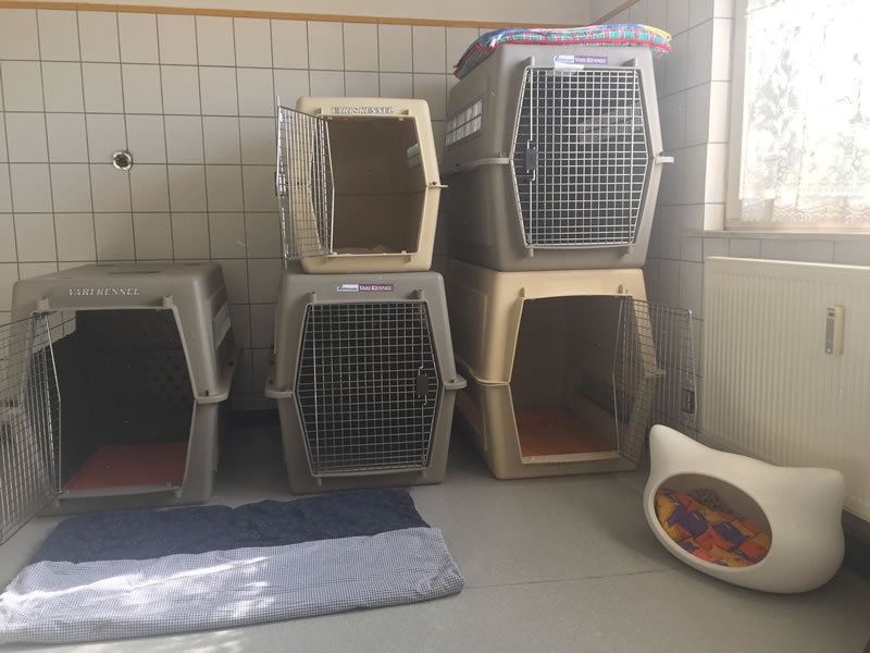 Tierarzt Dr. Ulrike Häusler-Naumburger - Ihre Tierärztin für Pferde und Kleintiere 