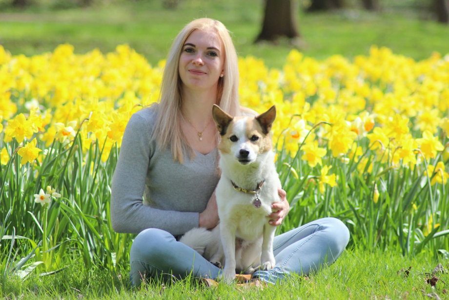 Tierarzt Dr. Ulrike Häusler-Naumburger - Ihre Tierärztin für Pferde und Kleintiere 
